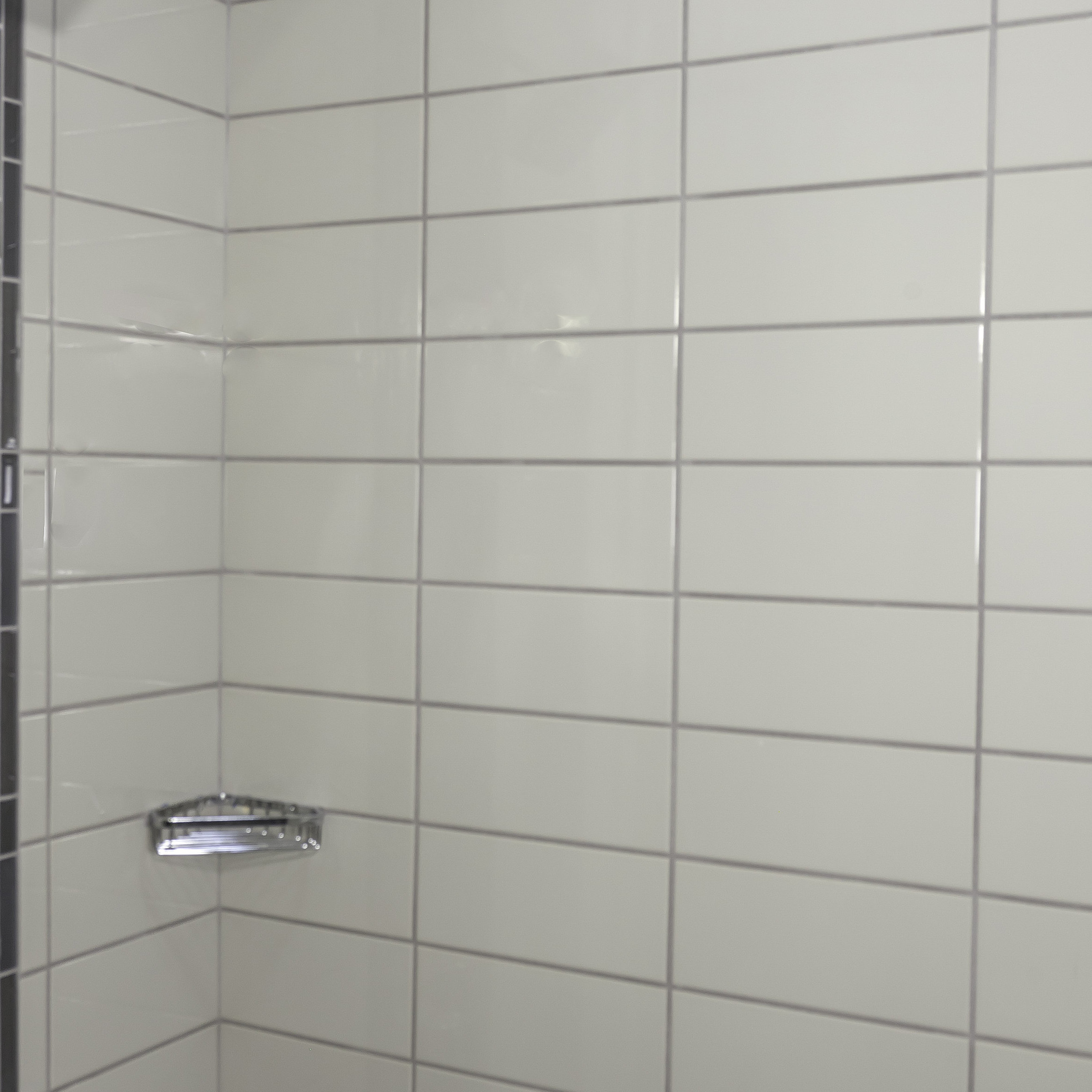 Emser Tile Semplice 6" x 1" Ceramic Quarter Round Beak Tile Trim in